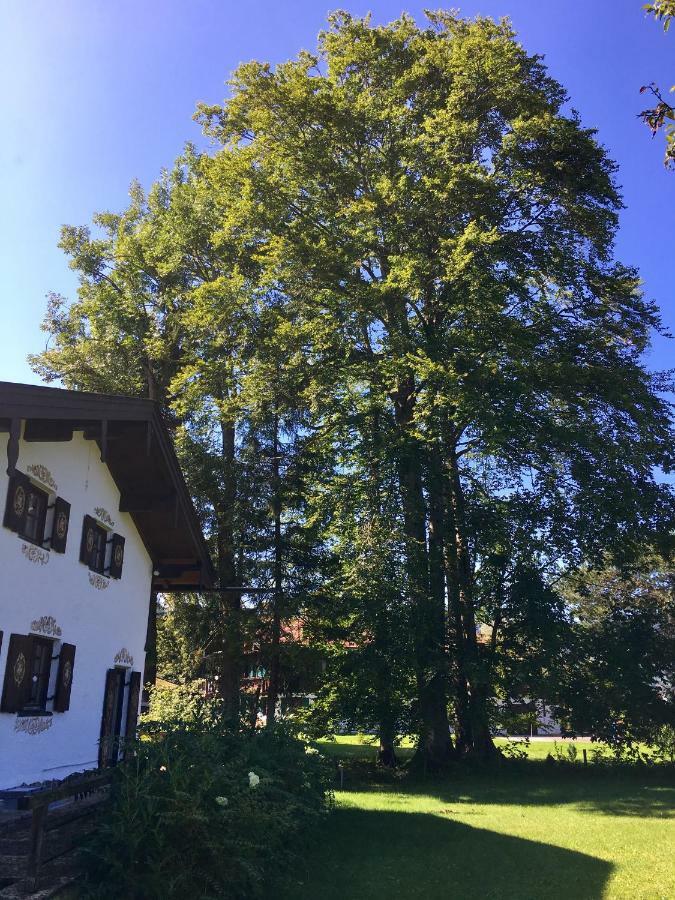 Traumhaftes Ferienhaus Direkt Am Tegernsee Rotta 외부 사진